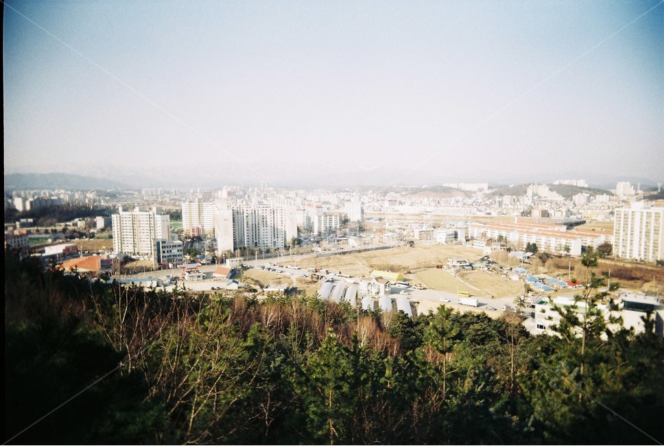 강릉,시내풍경,건물,스카이라인,필름카메라,등산,풍경,시내,강릉시내,아파트,도시,풍경,city,landscape,한국도시풍경,한국도시경관,korea cityscape,경치,nature,자연,outdoors,옥외,scenery,aerial view,조감도