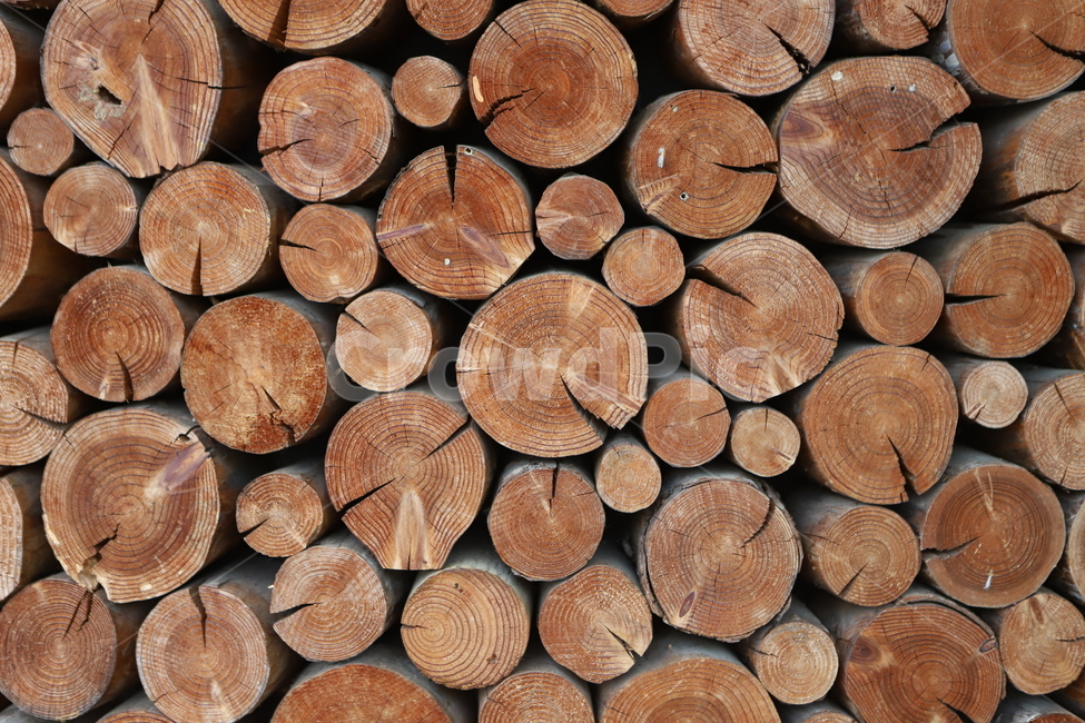 나무,장작,장식물,firewood,sculpture,조형물,wood,lumber,재목