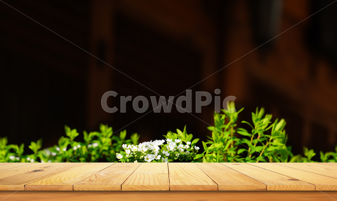 테이블,탁자,데크,나무,화단,정원,나뭇잎,백그라운드,배경,plant,식물,식물,자연,plants,nature