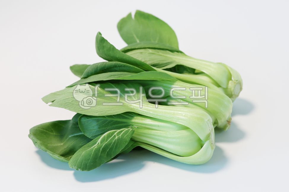 청경채,식재료,야채,채소,pakchoi,bokchoy,food,vegetable,음식,농산물,요리재료
