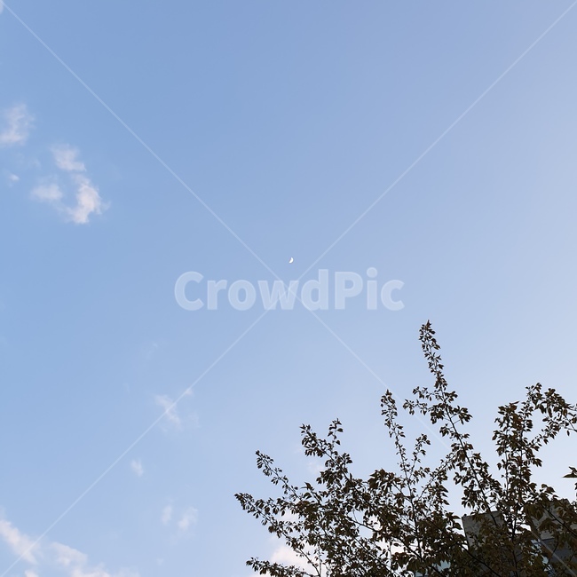 하늘,구름,풍경,sky,cloud,나무