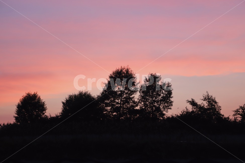 나무,하늘,감성,노을,보라색,붉은색,자연,풍경,nature,landscape,나무,trees,wood,outdoors,옥외,silhouette,실루엣,sky,dawn,새벽,sunset,일몰,dusk,황혼,red sky,붉은 하늘
