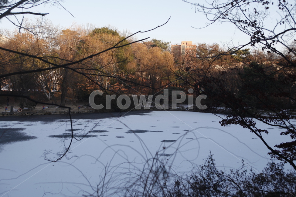 창경궁,한옥,서울,랜드마크,seoul,겨울,겨울,계절,winter,season,자연,풍경,nature,landscape,tree,나무,plant,식물,outdoors,옥외