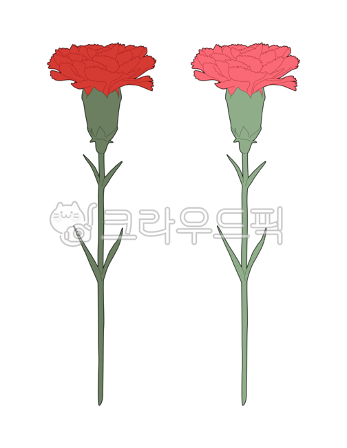 pink,Nukki,adornment,carnation,line drawing,parentsday,source,two,branch,long,colors,thanks,red,leaves,light green,design,drawing,mothersday,Two bunches,decoration,floral,Teachers day,green,ingredient,transparentbackground,Material,Mothers Day,leaf,flower