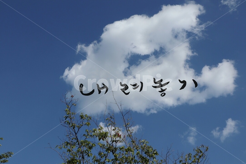 캘리그라피,구름,손글씨,붓글씨,명상,내려놓기,비우기,명언,교훈,자연,풍경,nature,landscape,캘리그라피,손글씨,calligraphy,animal,동물,bird,새,outdoors,옥외,cumulus,적운,weather,날씨,cloud,sky,하늘