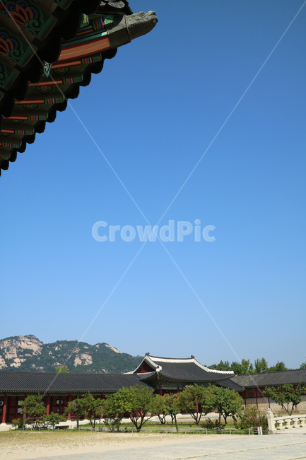 궁전,고궁,한국,한국전통,건축,건물,동양건축,전통가옥,한옥,문화재,대한민국,전통,민속,한국전통,한국문화,korean traditional,korean culture,건축물,건물외관,exterior,building,structure,architecture,construction