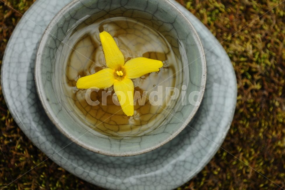 찻잔,차,자연,자기세트,찻잔세트,개나리,이끼,한국전통,한국문화,korean traditional,korean culture,음료수,drink,beverage