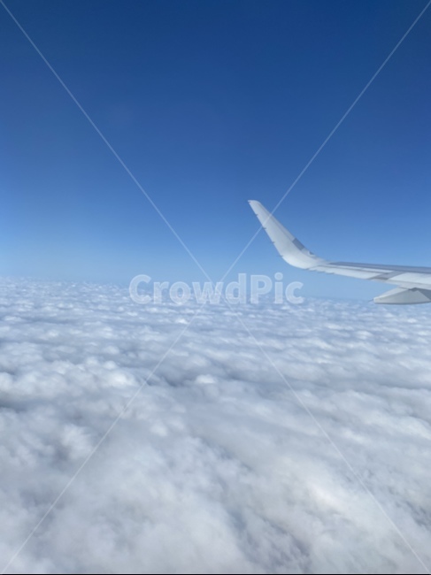 여행,travel,하늘,비행기,sky