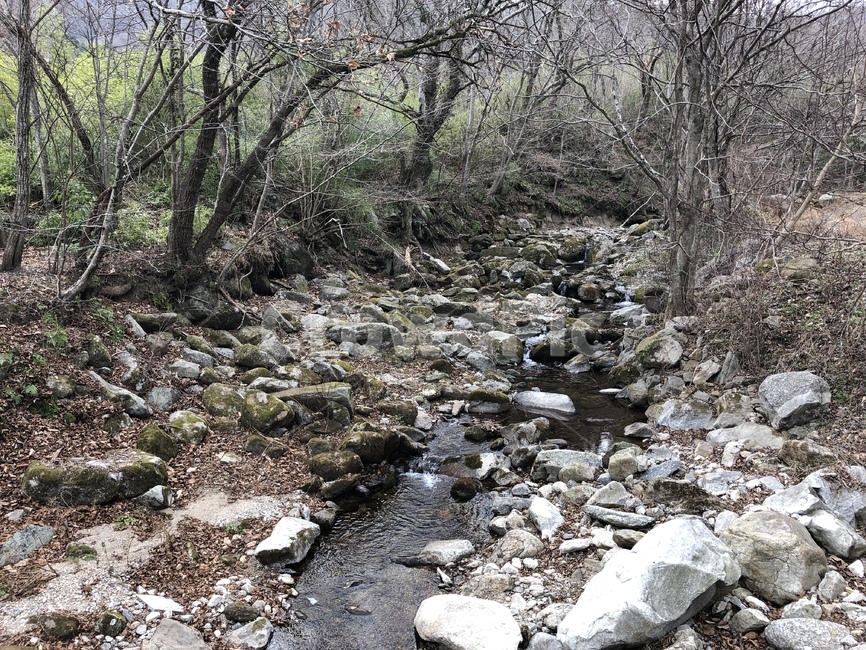 계곡,바닥,나무,풍경,물,겨울,winter