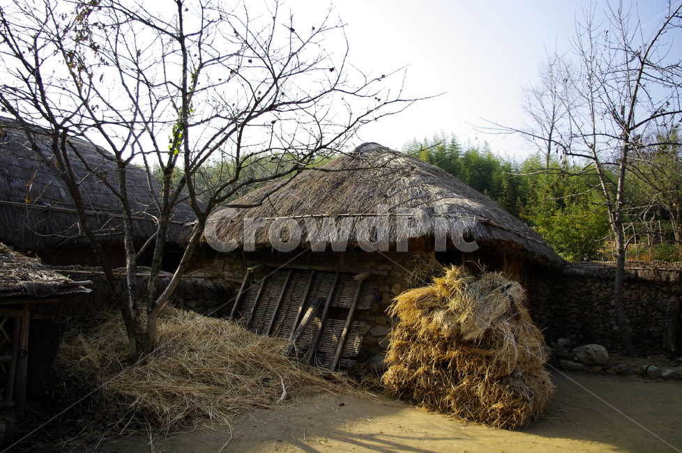 초가지붕,전통가옥,한국,초가집,집,마을,한국전통,한국문화,korean traditional,korean culture,건축물,건물외관,exterior,building,structure,architecture,construction