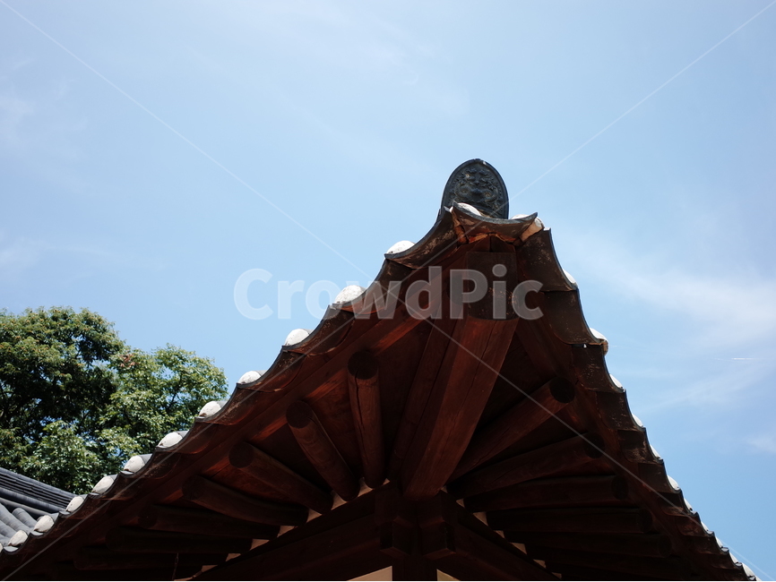 한옥,하늘,나무,구름,기와,한국전통,한국문화,korean traditional,korean culture,건축물,건물외관,exterior,building,structure,architecture,construction