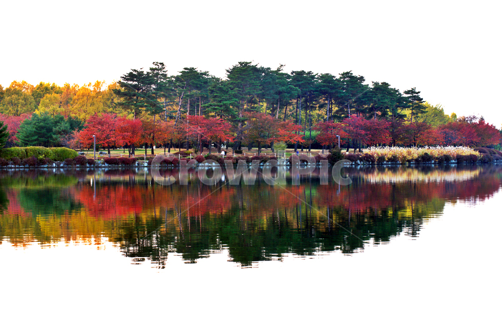 단풍,가을,붉은색,호수,공원,계절,반영,가을,계절,fall,autumn,season,자연,풍경,nature,landscape,tree,나무,plant,식물,water,물,outdoors,옥외