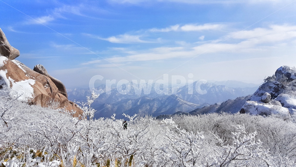 속리산,겨울,설산,눈꽃,상고대,하늘,구름,눈꽃풍경,겨울풍경,국립공원,힐링,눈풍경,파란하늘,snow,landscape,눈,화이트,자연,계절,서리꽃,winter,season,풍경,nature,한국자연풍경,나무,식물,trees,wood,plants,겨울,계절,winter,season,자연,풍경,nature,landscape,한국자연풍경,한국자연경관,korea nature landscape,outdoors,옥외,ice,빙,mountain,산
