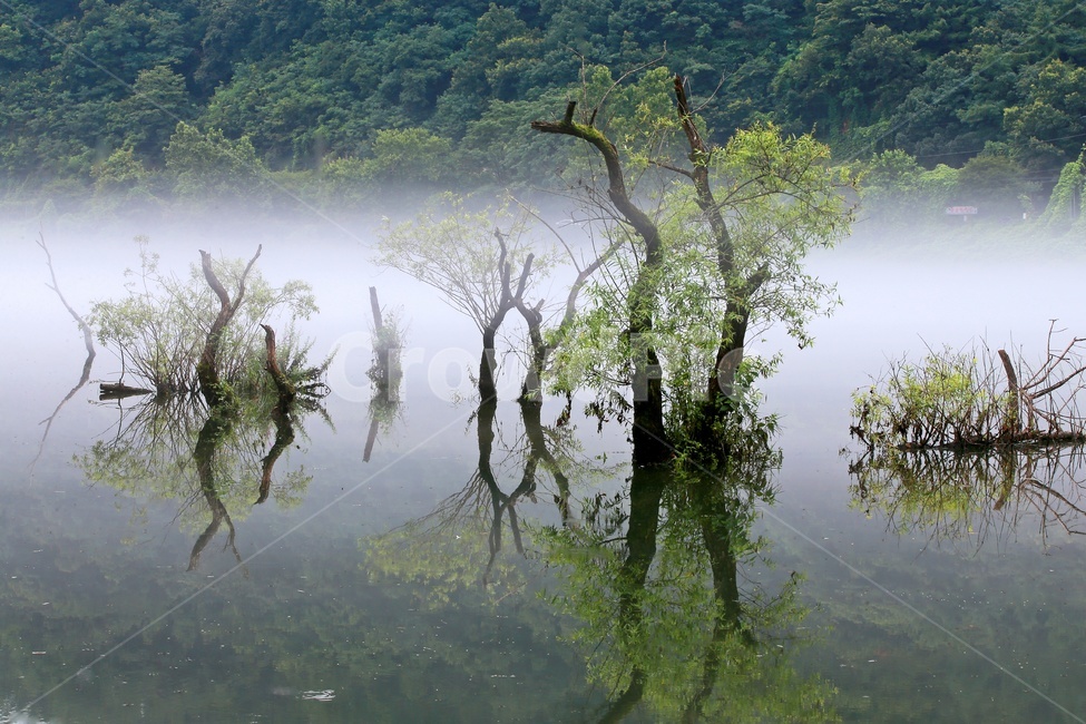충북,청부,대청댐,로하스길,운해,경치,경관,nature,자연,outdoors,옥외,water,물