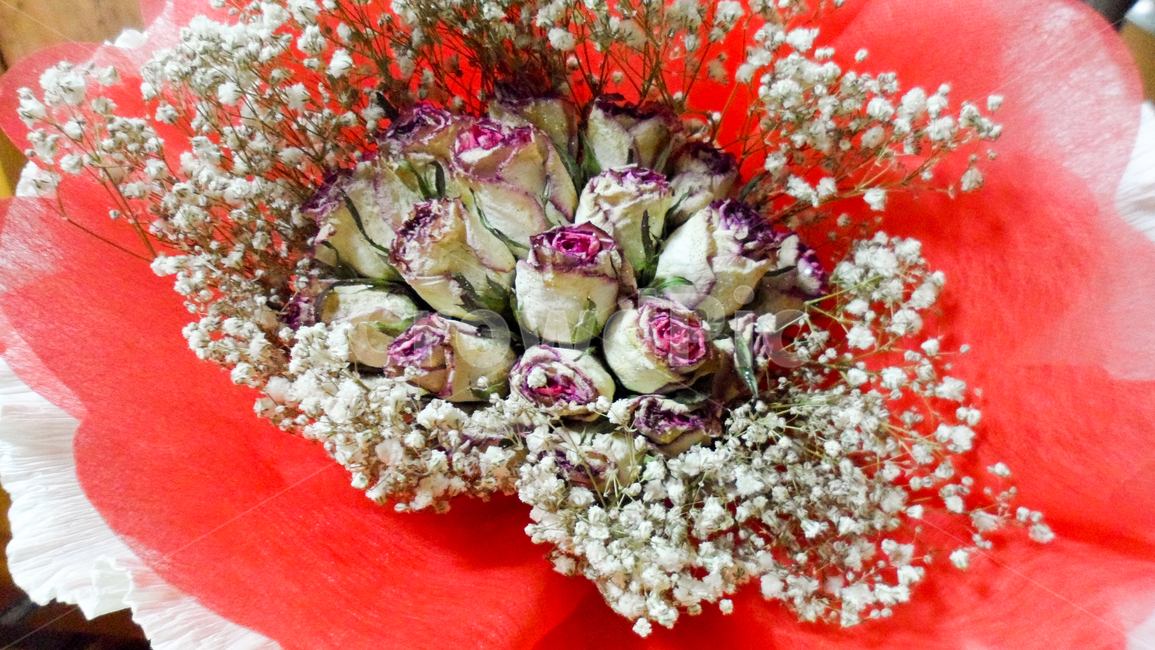 plant,식물,flower,꽃,blossom,꽃다발,장미,안개꽃,드라이플라워,말린꽃