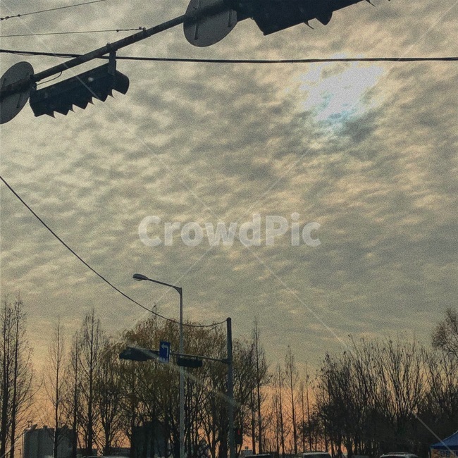 하늘,구름,나무,sky,cloud