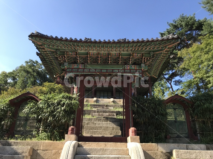 창덕궁,창덕궁후원,창덕궁전각,changdeokgung,창덕궁내부,한국전통,한국문화,korean traditional,korean culture,건축물,건물외관,exterior,building,structure,architecture,construction