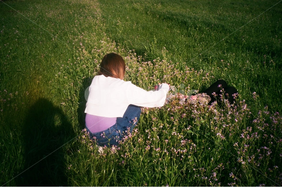 들판,여자,친구,그림자,필름사진,제주,풍경,야생화,꽃,꽃밭,보라색,꽃,flower,사람,인물,인간,human,person,여성,여자,woman,female,lady,감성,sensible,feeling