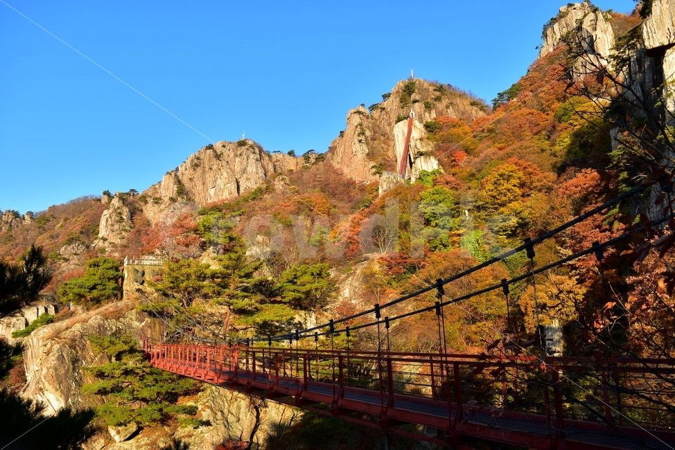 대둔산,가을,풍경,단풍,탐방,도립공원,빨간단풍,파란하늘,가을색,오색,울긋불긋,알록달록,그림같은,칼라풀,뷰티플,아름다운,힐링,감성,자연,정취,산세,명산,100대명산,nature,산,등산,트레킹,풍경사진,비경,경치,가을사진,가을색채,가을의정취,맑음,청명,가을날씨,경관,기암,암봉우리,mountain,금산,완주,논산,낙조대,낙조산장,마천대,케이블카,구름다리,삼선계단,가을,계절,fall,autumn,season,자연,풍경,nature,landscape,한국자연풍경,한국자연경관,korea nature landscape,outdoors,옥외