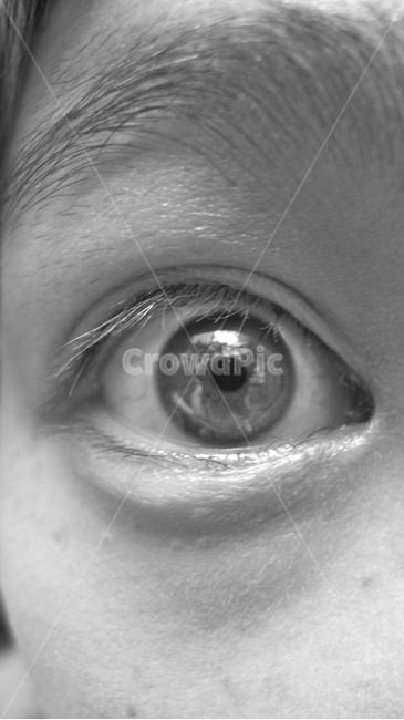 놀람,눈,eye,갈색눈,동공,왼쪽눈,보다,see,나