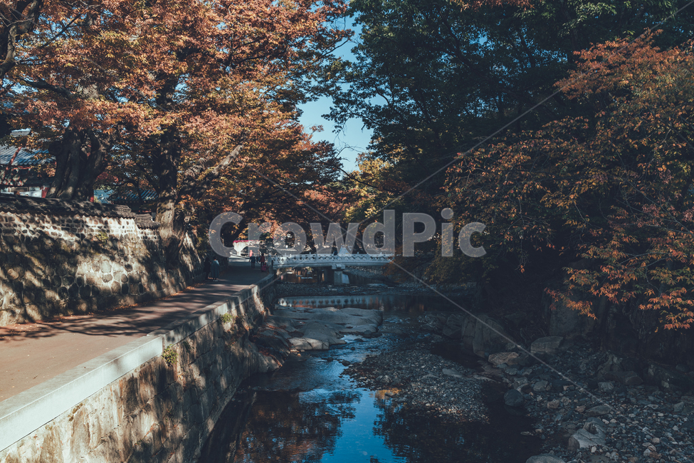 절,통도사,가을,단풍,낙엽,감성,가을,계절,fall,autumn,season,자연,풍경,nature,landscape,tree,나무,plant,식물,water,물