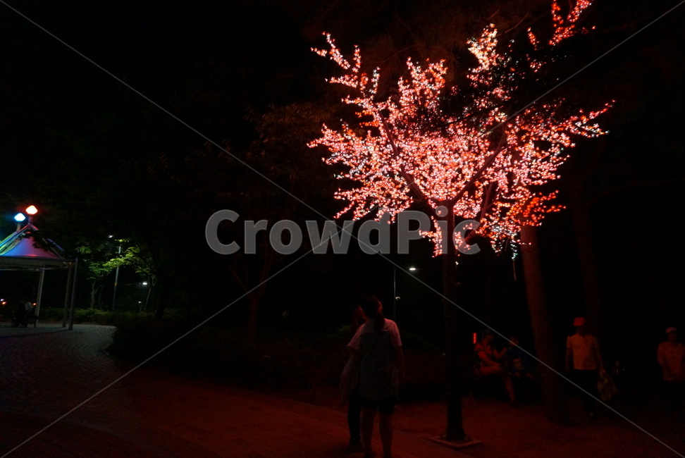 야경,전등나무,조명나무,공원,붉은,야경,밤,풍경,nightscape,night,landscape,tree,나무,plant,식물