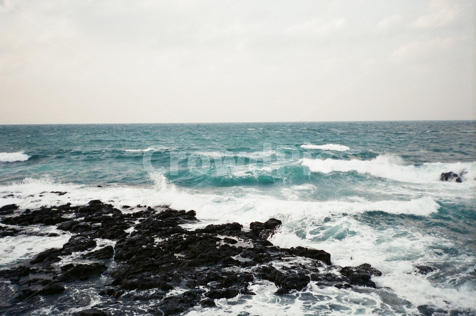 바다,해변,제주도,파도,하늘,자연