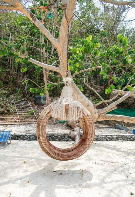 plant,식물,tree,wood,나무,그네,swing,해변,모래사장,포토존,그늘