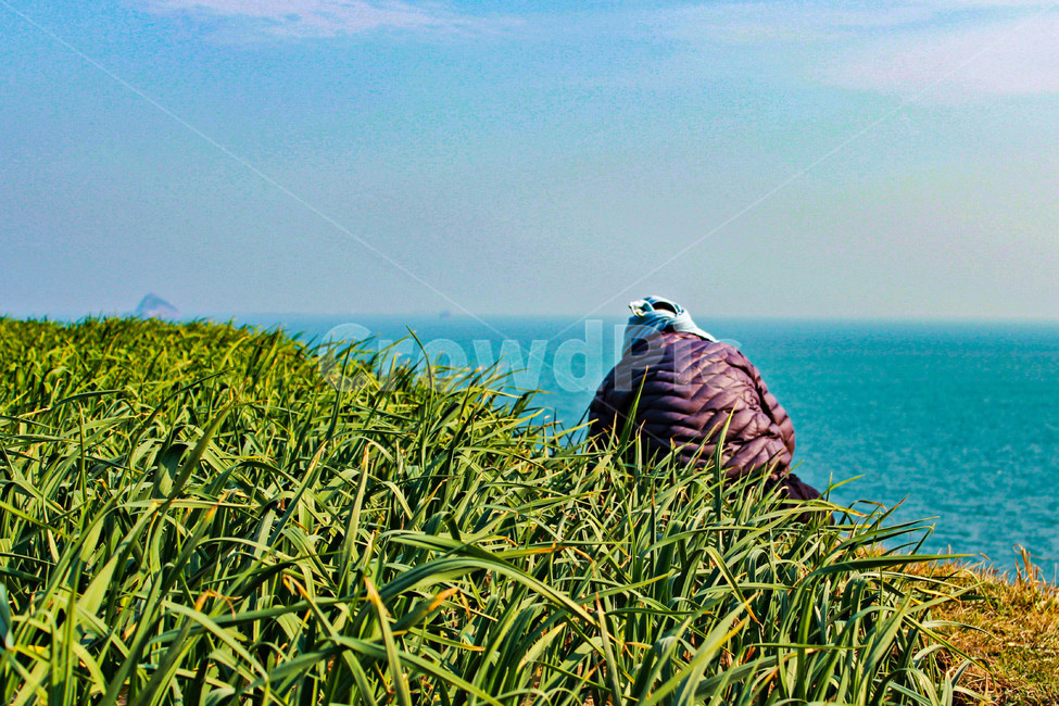 남해,농사,농부,밭농사,작물,인물,자연,시골,풍경,landscap,country,농촌,일꾼,시골풍경,농업,농사,agriculture,farming,farming industry