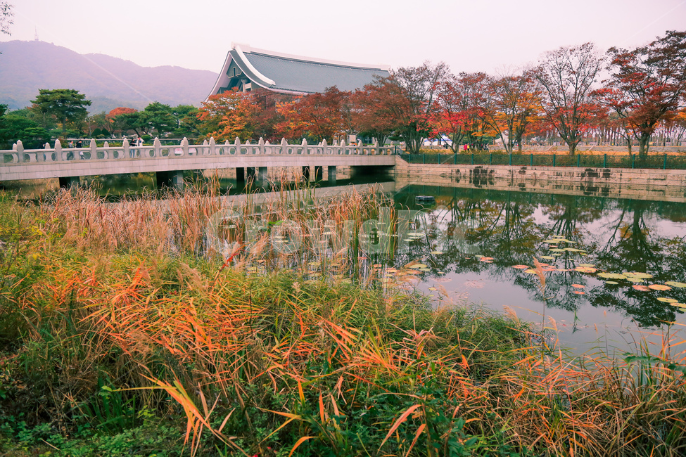 water,단풍,자연,옥외,nature,가을,계절,fall,autumn,season