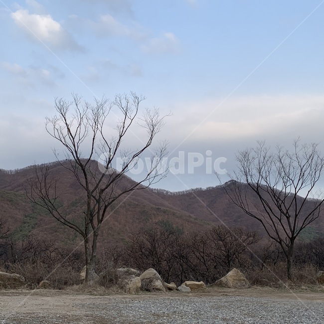 산,서울근교,자연,바닥,도로,나무,겨울