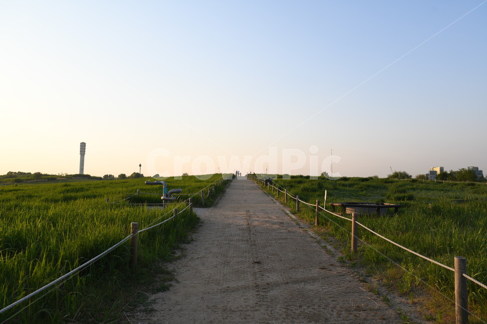 road,도로,nature,자연,outdoors,하늘공원,일몰,자연,풍경,nature,landscape,옥외,asphalt,아스팔트