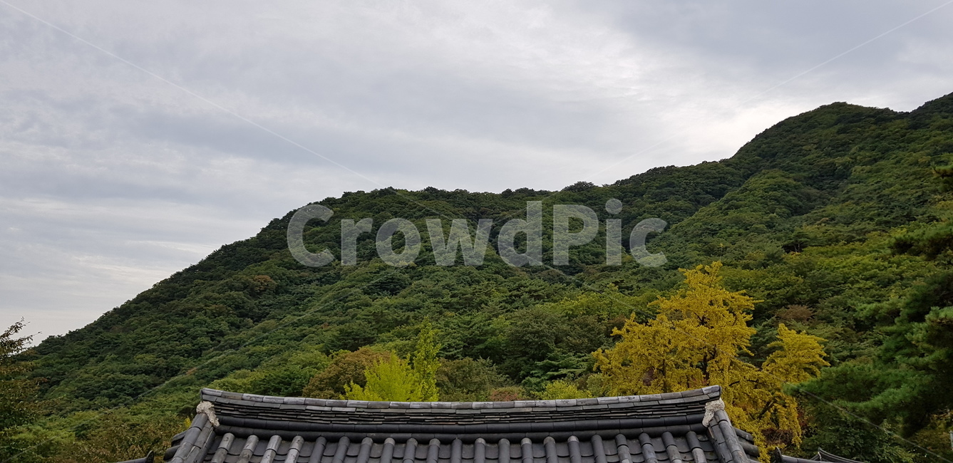 산,나무,절,지붕,사찰,하늘,청평사