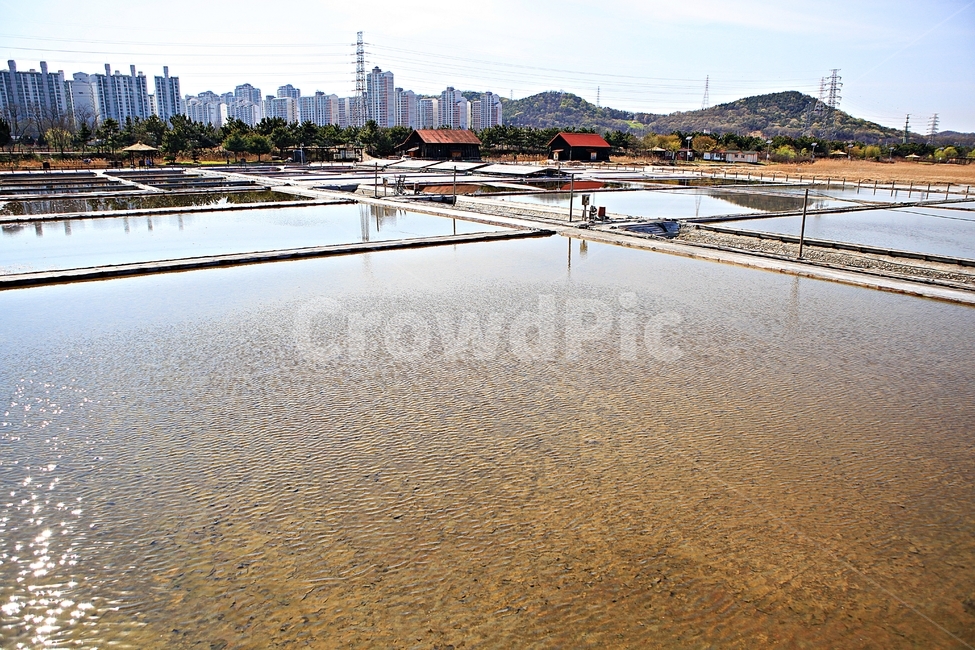 염전,창고,바다물,풍경,자연,배경,생태공원,자연,풍경,nature,landscape,시골,마을,country,rural,town,water,물,outdoors,옥외