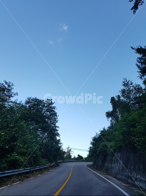 road,도로,하늘,나무,산책