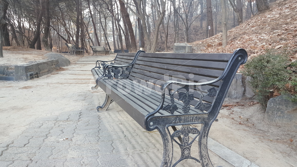 공원,벤치,의자,쉼,휴식,자연,야외,자연,풍경,nature,landscape,bench