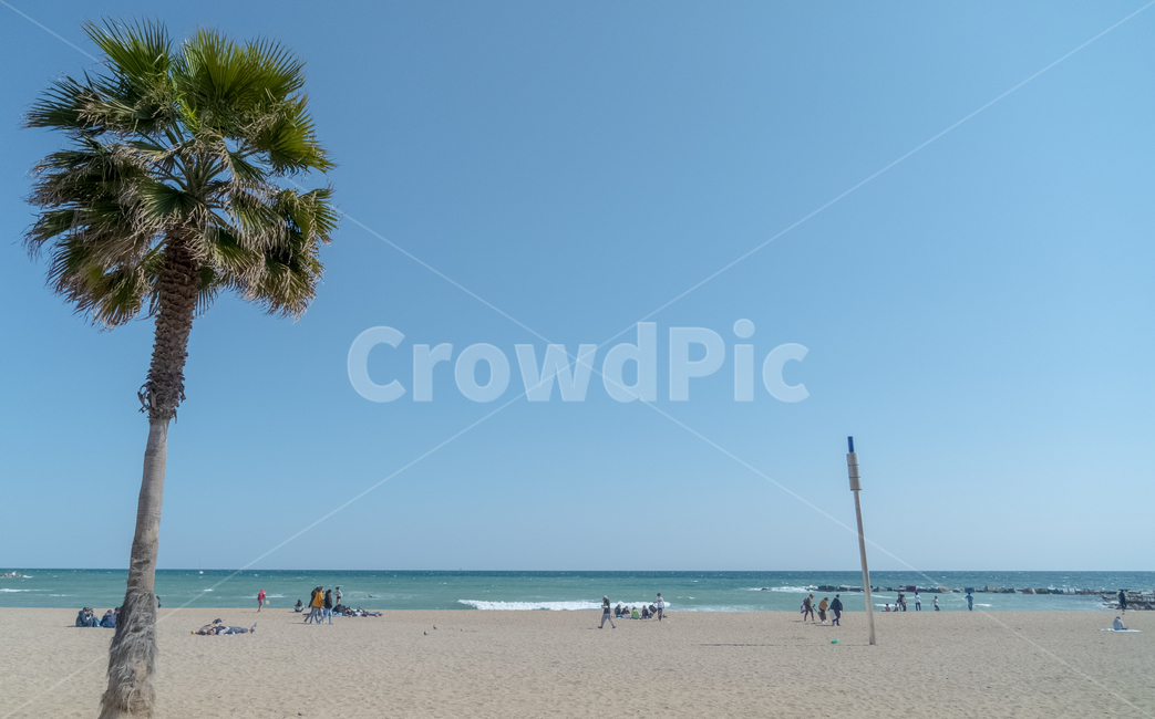바르셀로나,스페인,해변가,바닷가,바다,beach,spain,해변,바다,beach,sea