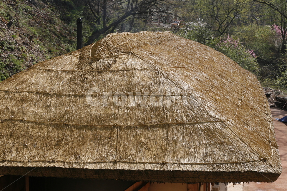 초가집,초가지붕,가옥,전통,초가,시골,마을,풍경,landscape,country,rural,town,한국전통,한국문화,korean traditional,korean culture,건축물,건물외관,exterior,building,structure,architecture,construction