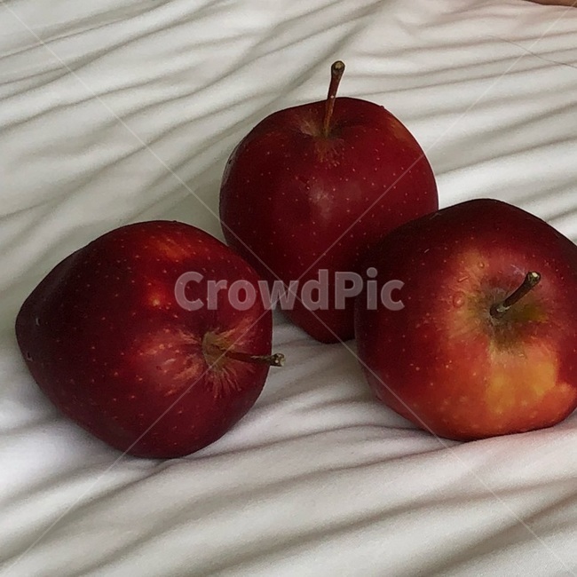 사과,빨간사과,과일,채소,감성,과일,열매,fruit
