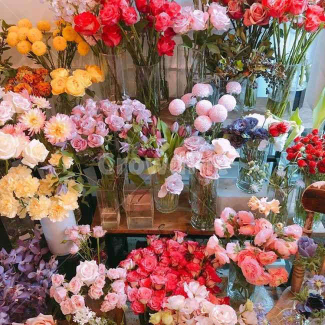 꽃,꽃다발,식물,flower,부케,꽃,flower