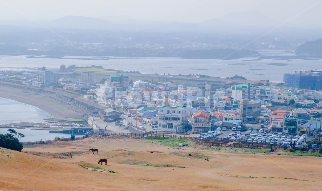 제주도,말,풍경,건물,바다,시골,마을,풍경,landscape,country,rural,town