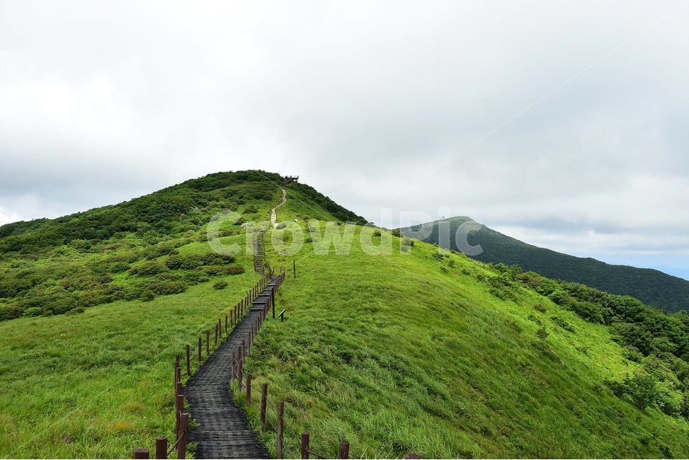 소백산,풍경,초록,자연,여름,경치,비경,등산,산행,힐링,아름다운,계절,명산,국립공원,nature,landscape,능선,자연,풍경,nature,landscape,outdoors,옥외,hill,언덕