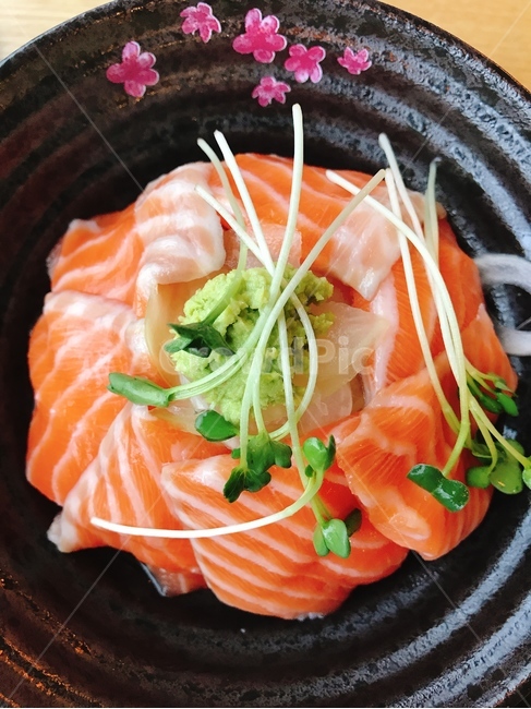 연어덮밥,덮밥,연어,음식,일본음식,음식,식재료,요리,food,cook,meal,dishes,food reserves,일식,일본음식,일본요리,Japanese food,Japanese dishes,Japanese meal,Japanese cook