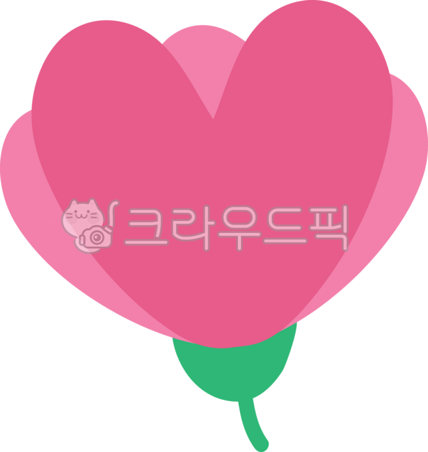 카네이션,카네이션일러스트,카네이션이미지,꽃,5월8일,어버이날,스승의날