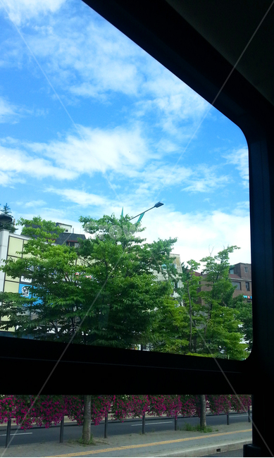 하늘,구름,푸른,여름,나무,건물,창밖,풍경,거리,summer,cloud,bluish,blue,window,tree,green,sky,outofthewindow,scenery,building,seoul