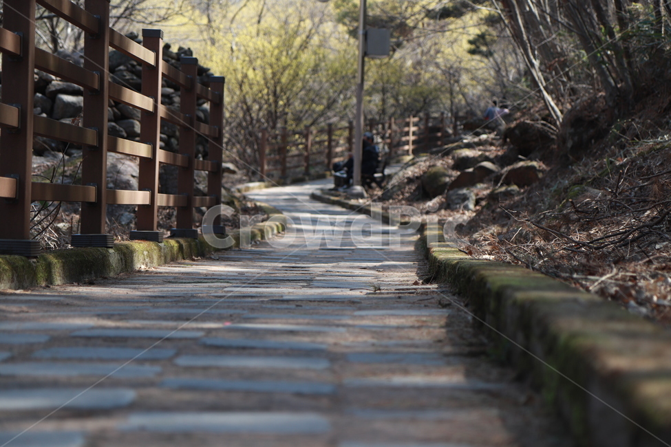 path,통로,walkway,flagstone,판석,sidewalk,보도,pavement,포장,길