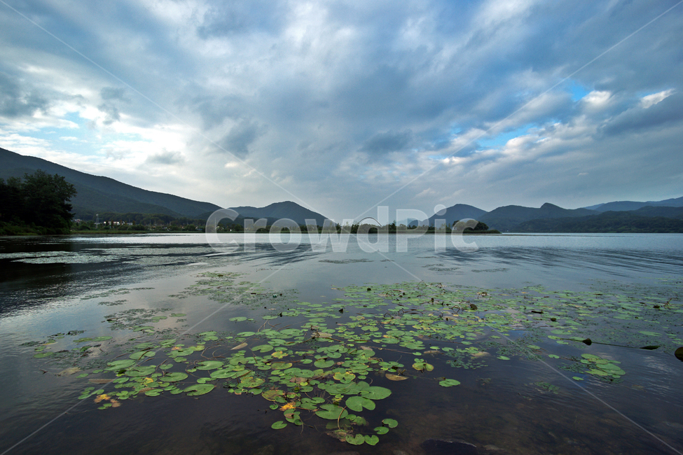 북한강,양수리,강,수풀,자연,풍경,자연,풍경,nature,landscape