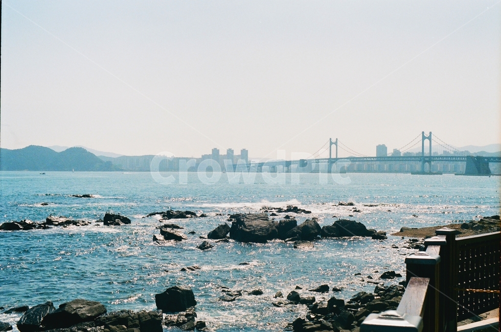 부산,바다,광안대교,busan,ocean,bridge,korea,blue,cool,clear,청량함,여름,summer,필름사진,filmphoto