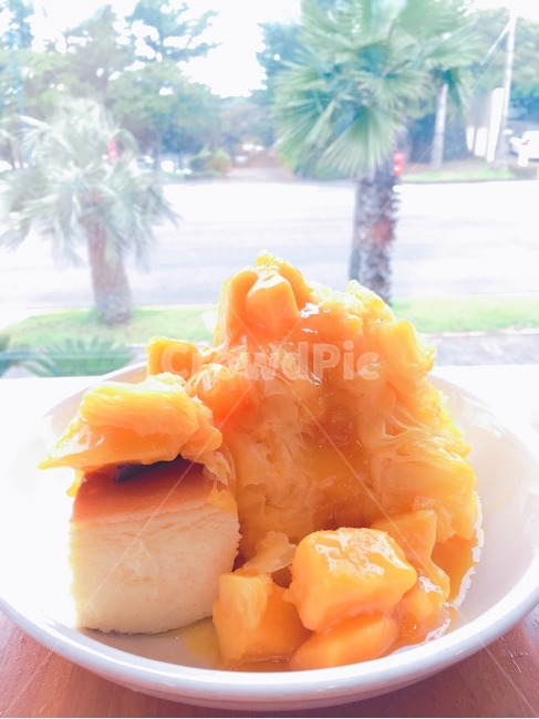 망고치즈빙수,망고빙수,눈꽃빙수,냉동망고,망고디저트,mango,desert,yellow,디저트,망고,과일,열대과일