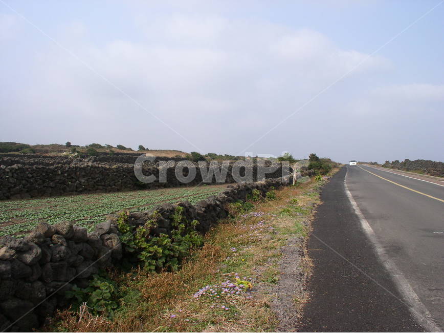 제주,제주도,제주도풍경,돌담,제주도돌담,koreajejuislandlandscape,koreainternationalroad,koreainternationalcapitalollehroad